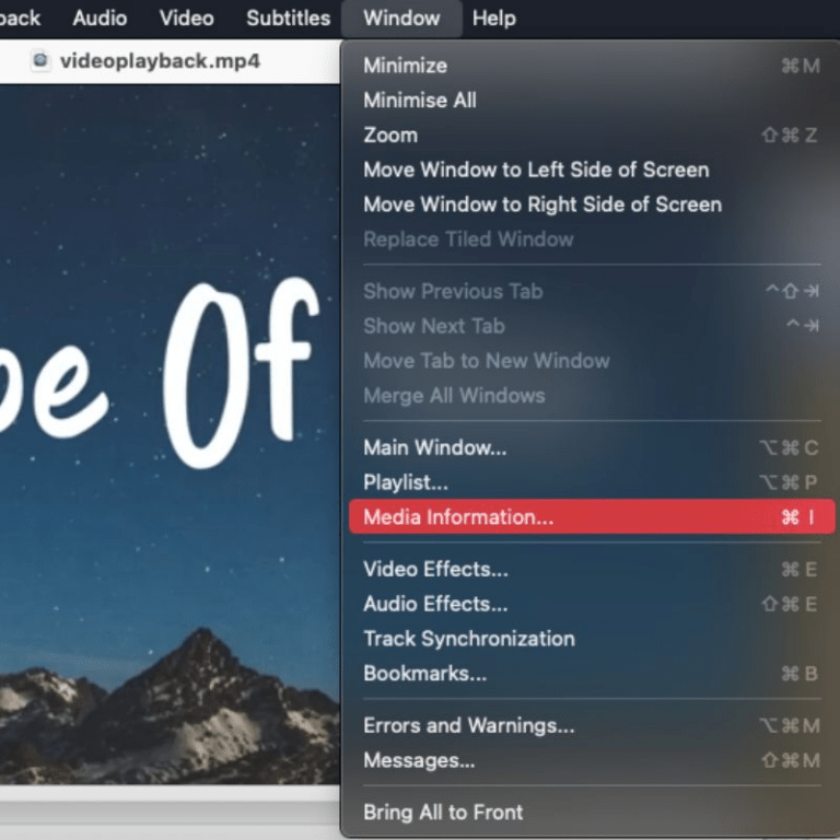3 Ways to Download a YouTube Live Stream Applian Technologies Blog